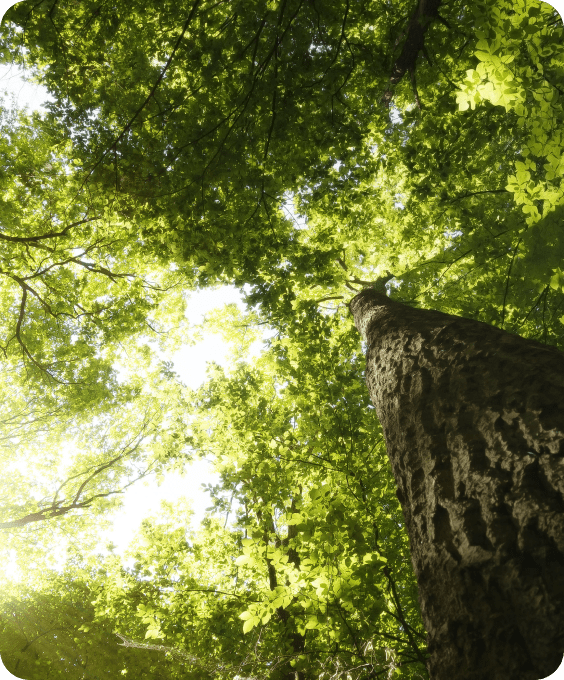 imagen eco besco x2 min