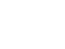 logo las palmas2 home